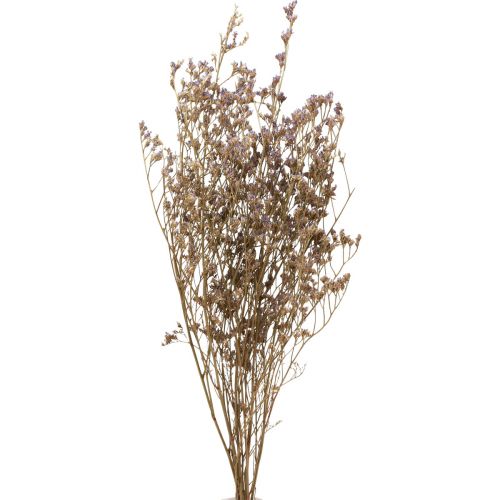 Strandflieder Limonium Trockenblumen Lila 70cm 50g Dekoration Naturprodukt