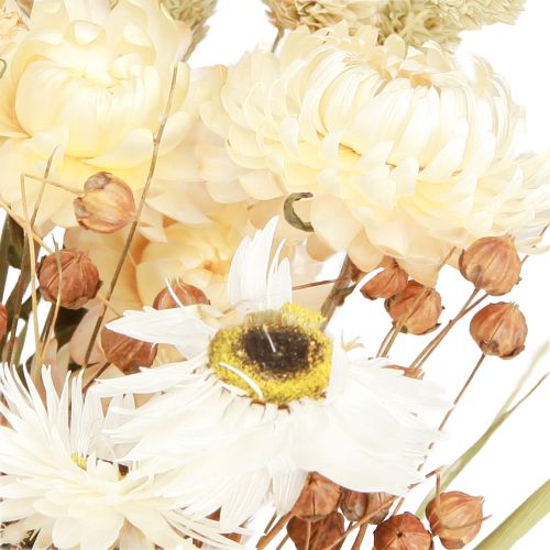 Floristik24 Strauß mit Trockenblumen Strohblumen Getreide Weiß 55cm