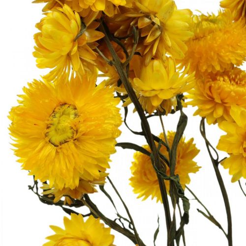 Artikel Trockenblume Gelb Strohblume Helichrysum Trockendeko Bund 50cm 45g