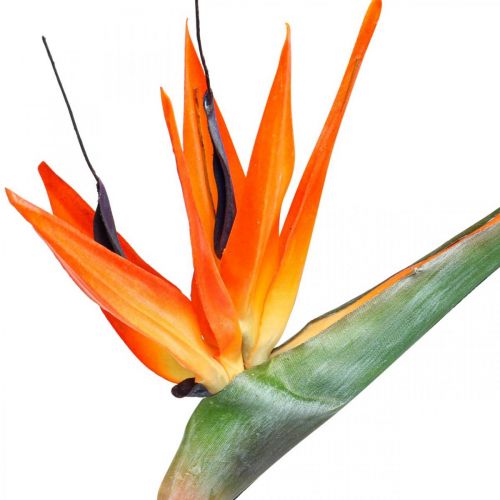 Artikel Strelizie reginae Kunstblume Orange Paradiesvogelblume L85cm