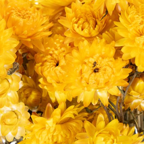 Artikel Strohblume Gelb getrocknet Helichrysum Trockenblumen Deko Bund 100g