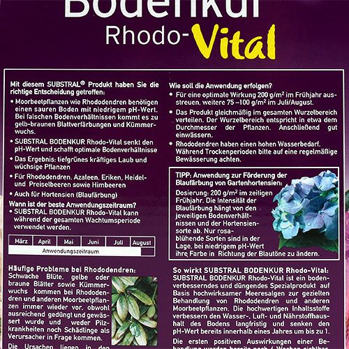 Floristik24 Substral Bodenkur Rhodo-Vital 1kg