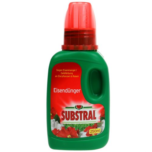 Floristik24 Substral Eisendünger 250ml