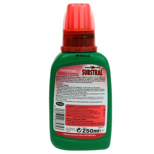 Floristik24 Substral Eisendünger 250ml
