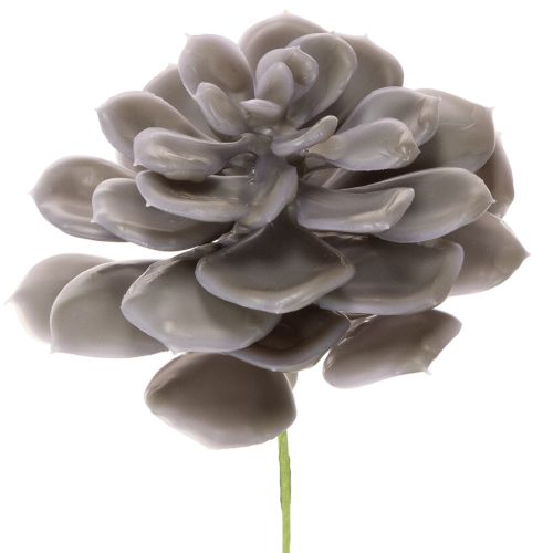 Künstliche Sukkulente Wachs Wachsblumen Dekoration 10cm 6St