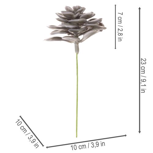 Künstliche Sukkulente Wachs Wachsblumen Dekoration 10cm 6St | Floristik24.de