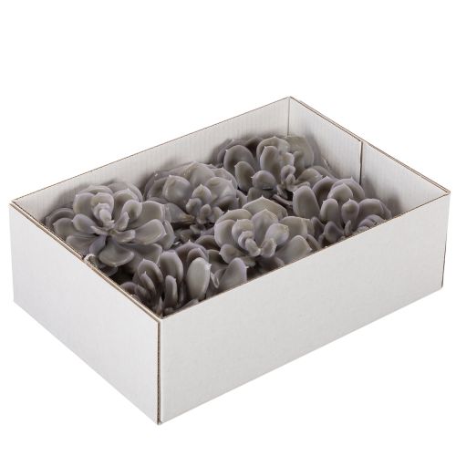 Künstliche Sukkulente Wachs Wachsblumen Dekoration 10cm 6St | Floristik24.de