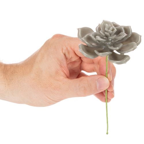 Künstliche Sukkulente Wachs Kunstpflanze mit Draht 8cm 8St | Floristik24.de