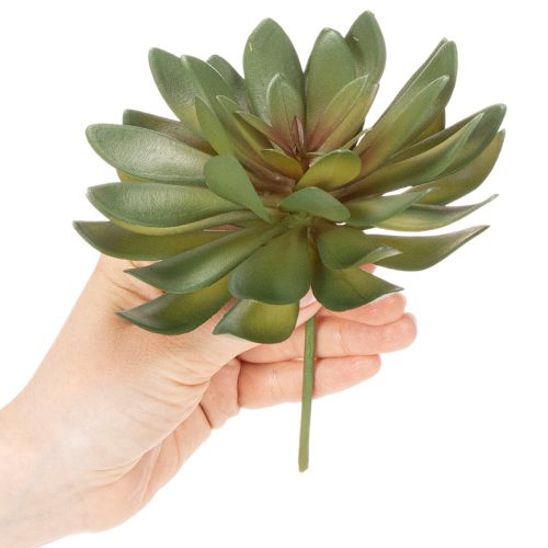 Künstliche Sukkulente als Dekopflanze grün 18cm 3St | Floristik24.de
