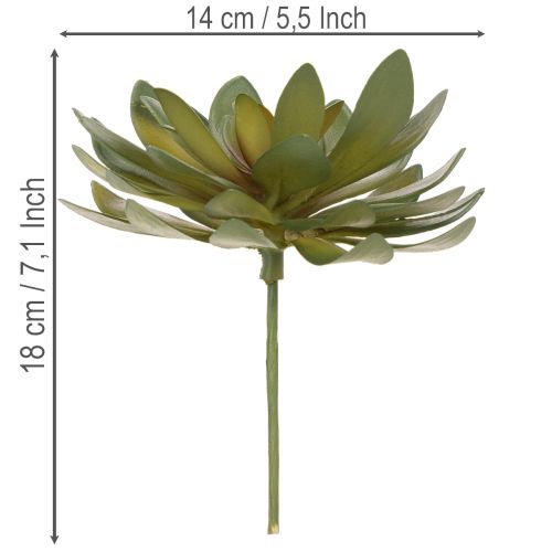 Künstliche Sukkulente als Dekopflanze grün 18cm 3St | Floristik24.de