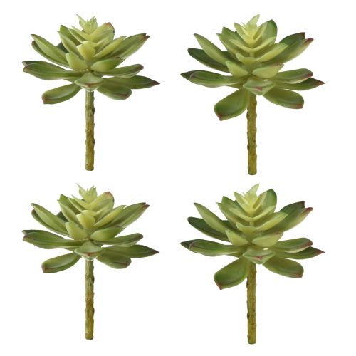 Artikel Künstliche Sukkulenten Kunstpflanzen Grün Ø10cm 4St
