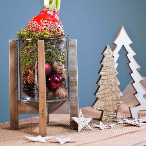 Floristik24 Tanne in Tanne Natur/Creme 25,5cm x 16,5cm