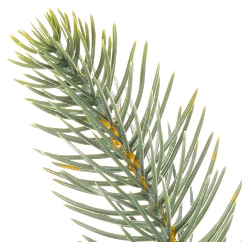 Künstlicher Tannenzweig Schaufensterdeko festlich 50cm 3 Stück | Floristik24.de