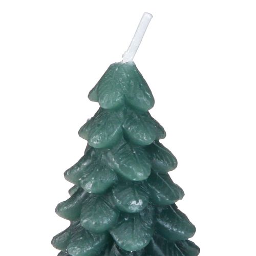 Floristik24 Teelichter Weihnachten Tannenbaum Grün Beschneit 6,5cm 8St