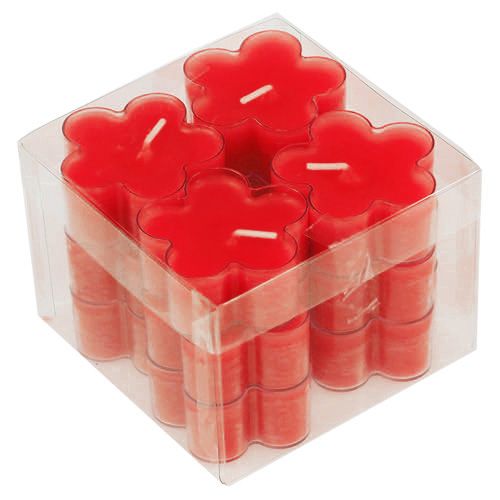 Floristik24 Blütenlicht Rubin 12St