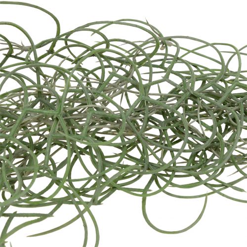 Floristik24 Tillandsia künstlich Grau 130cm