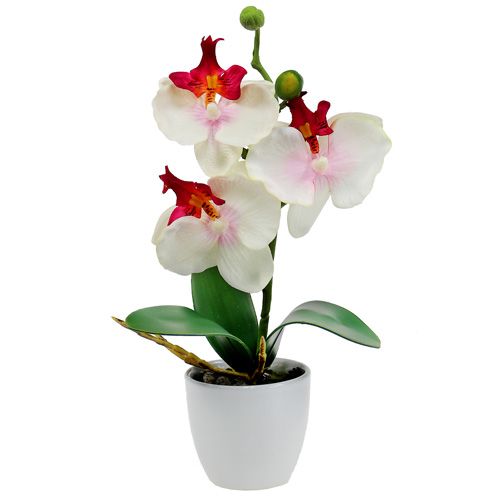 Tischdekoration Orchidee im Topf Creme H29cm