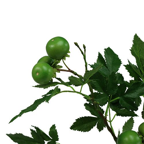 Floristik24 Tomatenzweig L60cm Grün