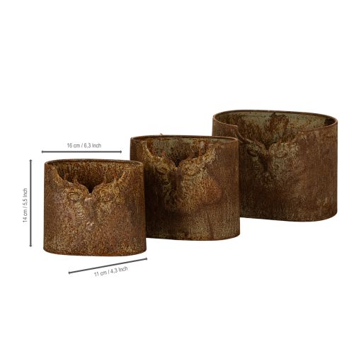 Pflanzgefäß Hirsch Metall oval Rost rustikal 3er-Set 24cm | Floristik24.de