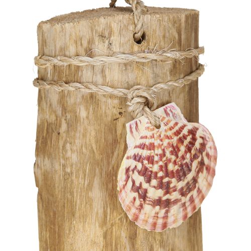 Artikel Treibholz Deko mit Muschel Wanddeko Holz H29cm 2St