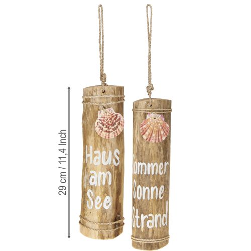 Artikel Treibholz Deko mit Muschel Wanddeko Holz H29cm 2St