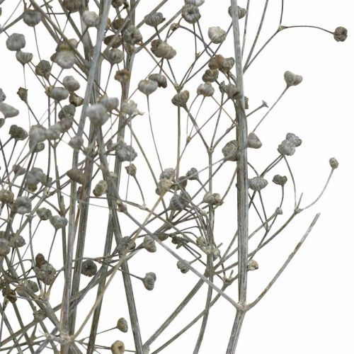 Artikel Trockenblume Massasa Geweißt Dekozweige 50-55cm Bund von 6St