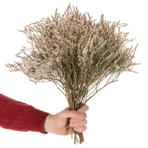 Trockenblume Strandflieder Bund Statice Natur 1kg | Floristik24.de
