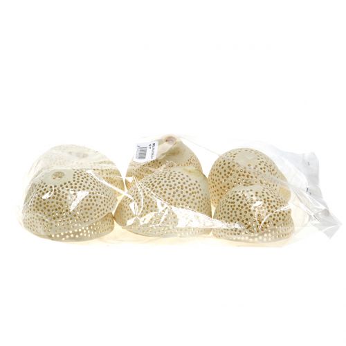 Trockenfrüchte Bell Cup gebleicht Trauerfloristik 8,5-11cm 10 St | Floristik24.de