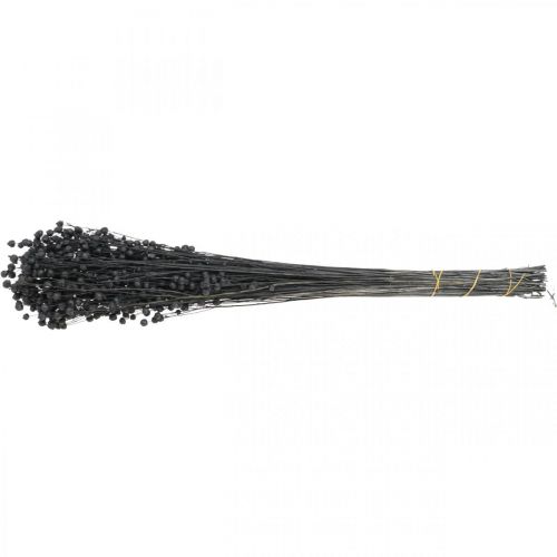 Artikel Trockengras Getrockneter Flachs Deko Schwarz 50–55cm 80g
