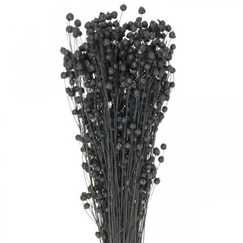 Trockengras Getrockneter Flachs Deko Schwarz 50–55cm 80g