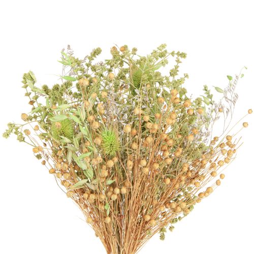 Floristik24 Trockenstrauß Karden Hafer Flachs Mint Natur Weiß 40cm 80g