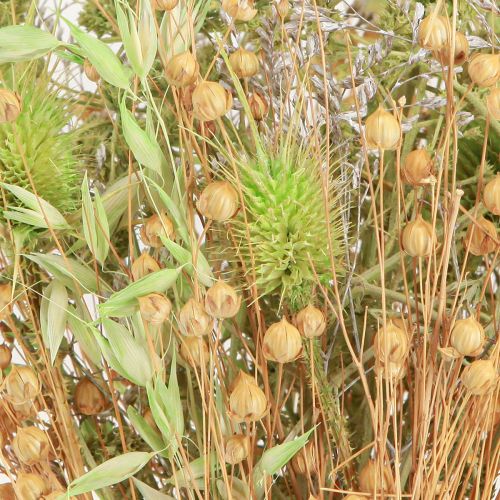 Floristik24 Trockenstrauß Karden Hafer Flachs Mint Natur Weiß 40cm 80g