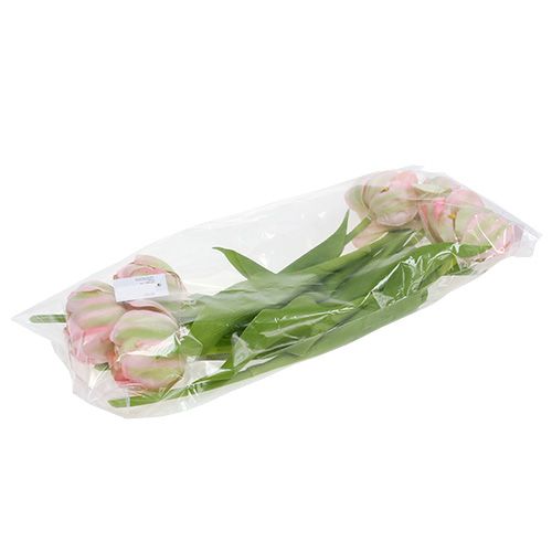 Floristik24 Tulpe Rosa, Grün 37cm 6St