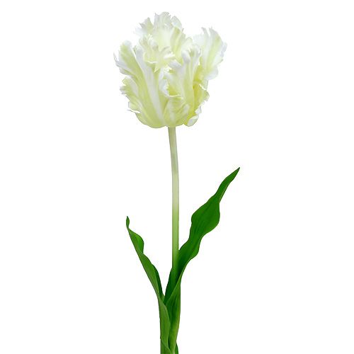 pflanzstäbe fiberglas Hochwertige Pflanzstäbe aus GFK für Ihre Pflanzen – Fibrolux main image 1