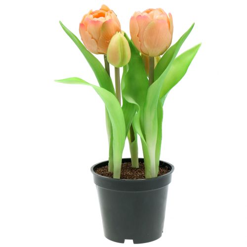 Floristik24 Tulpe Real-Touch Pfirsichfarben 23cm