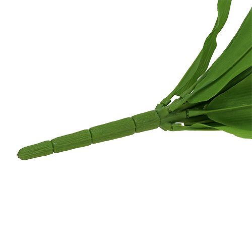 Floristik24 Tulpenbusch Weiß 30cm