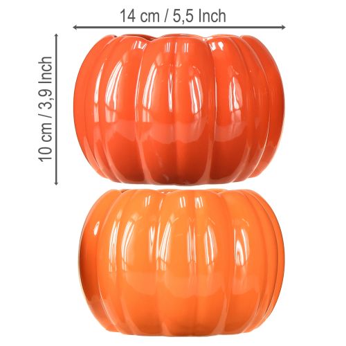Floristik24 Übertopf Keramik Kürbis Orange sortiert Ø14cm H10cm 2 St