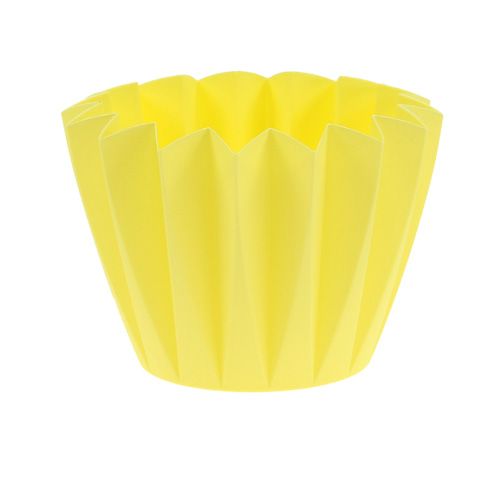 Floristik24 Umtopf Adonis Gelb 14cm 20 St