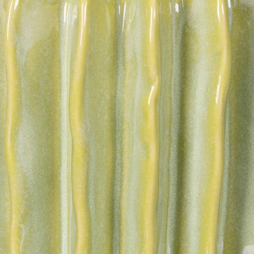 Artikel Kaktus Blumentopf Ideale Schale für exotische Wohnakzente 16cm