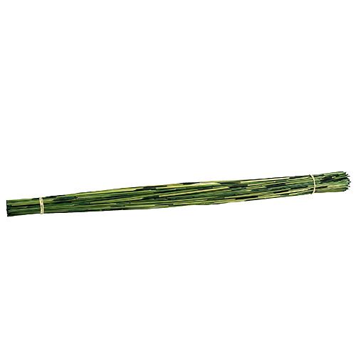 Floristik24 Vlei Reed 400g Dunkelgrün