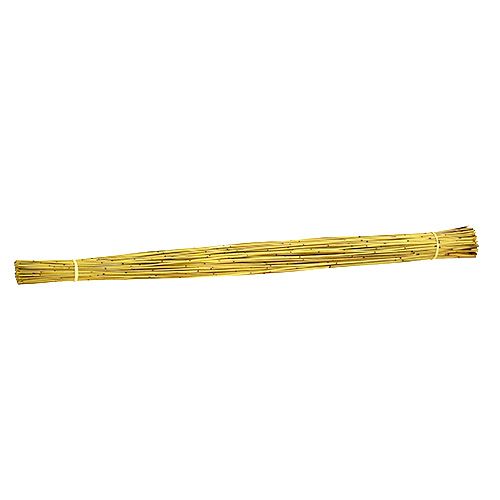Floristik24 Vlei Reed 400g Gelb