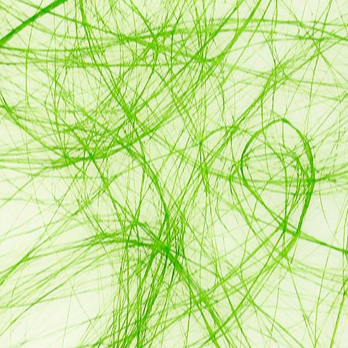 Artikel Vlies 8cm 25m Grün