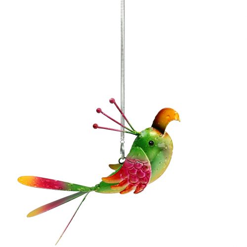 Floristik24 Vogel zum Hängen Grün, Pink, Orange 18,5cm
