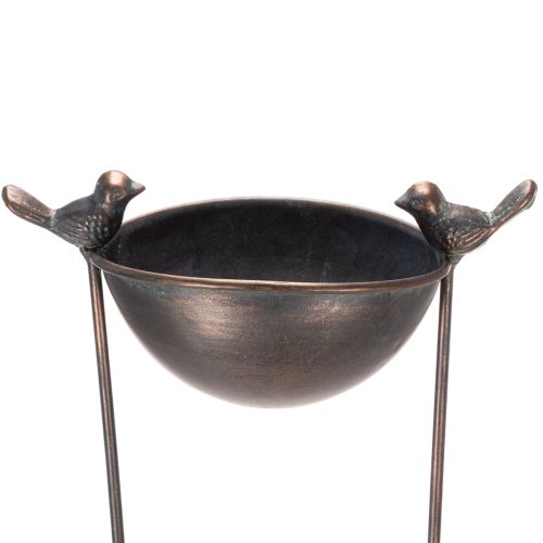 Floristik24 Deko Vogelbad Blumenschale mit Rankhilfe Nostalgie Look Stilvoller Gartenakzent 75cm