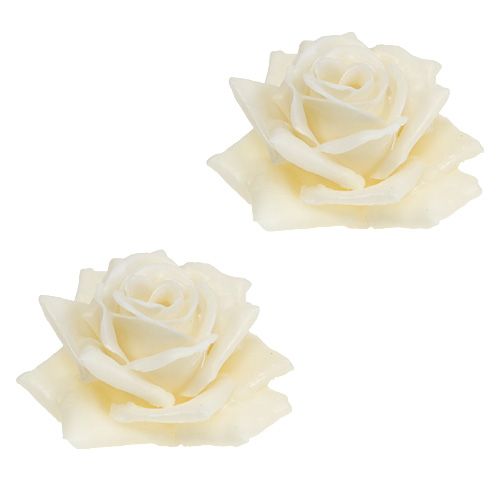 Floristik24 Wachsrose Ø10cm Creme 6St