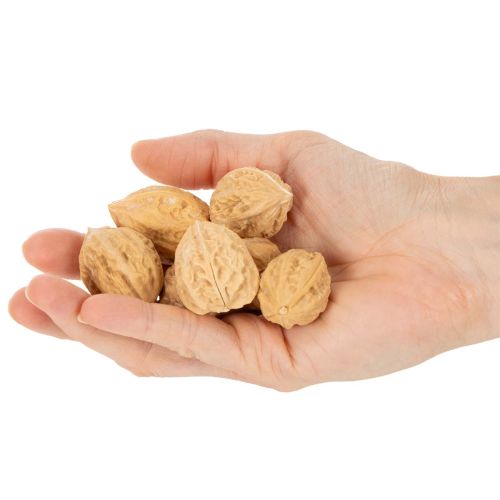 Walnüsse zur Dekoration Naturprodukt Natur 3-4cm 300g | Floristik24.de