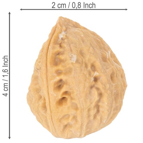 Walnüsse zur Dekoration Naturprodukt Natur 3-4cm 300g | Floristik24.de