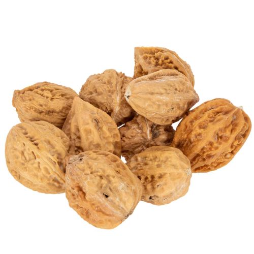 Walnüsse Naturprodukt für Tischdeko und DIY Walnüsse Natur 4-5cm 300g | Floristik24.de