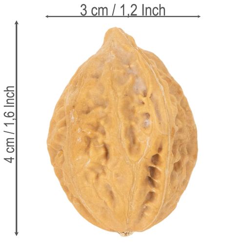 Walnüsse Naturprodukt für Tischdeko und DIY Walnüsse Natur 4-5cm 300g | Floristik24.de