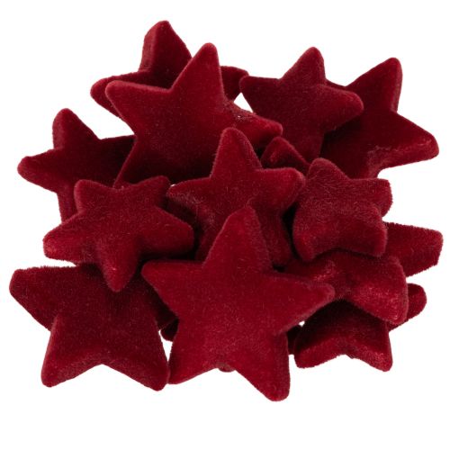 Weihnachtsdeko Sterne Bordeaux Beflockt Tischdeko 4–5cm 40 St kaufen | Floristik24.de